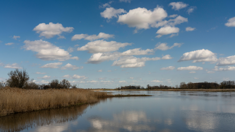 Die Oder bei Lebus (Landkreis Märkisch-Oderland) im Oderbruch © IMAGO / Hohlfeld